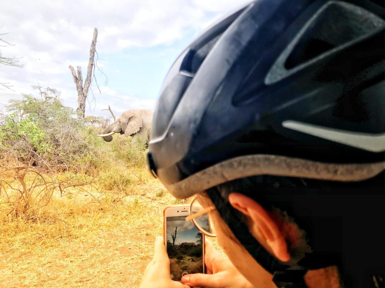 Mountain Bikes House Vandrehjem Moshi Eksteriør billede